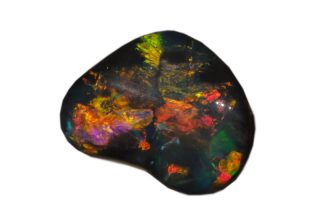 Opal Wochenende Ausstellung & Vortrag